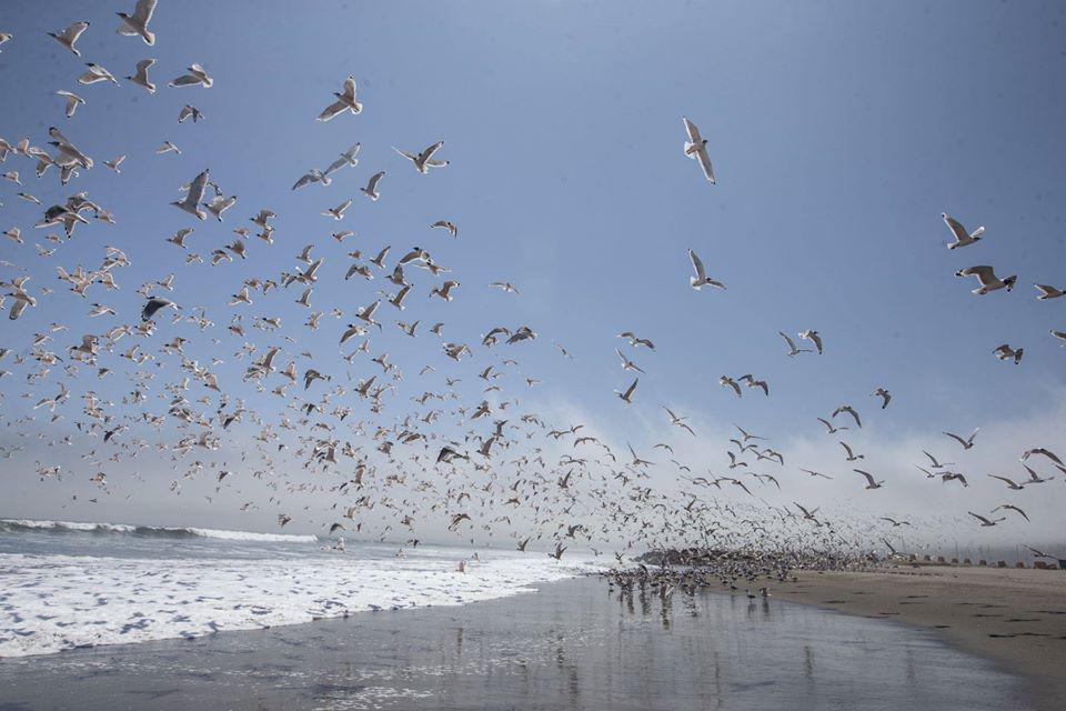 Foto: Jhonel Rodríguez / ANDINA