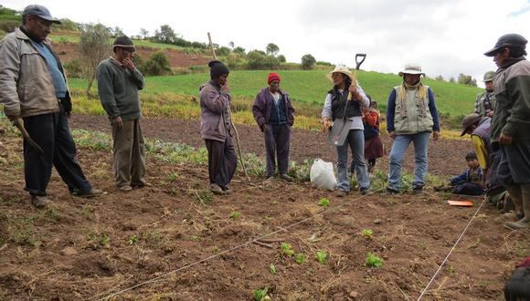 Cusco: entregarán semillas a campesinos