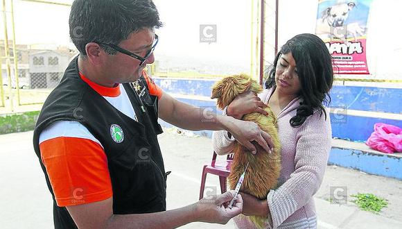 Suman 6 mil 700 personas mordidas por canes en Arequipa