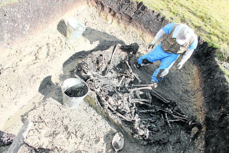 Hallan treinta fosas comunes