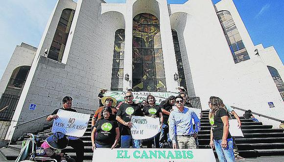 Reclaman agilizar publicación del reglamento para el uso del Cannabis
