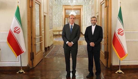 Esta imagen proporcionada por el Ministerio de Relaciones Exteriores iraní muestra al viceministro de Relaciones Exteriores de Irán, Ali Bagheri. (Foto del Ministerio de Relaciones Exteriores de Irán / AFP)