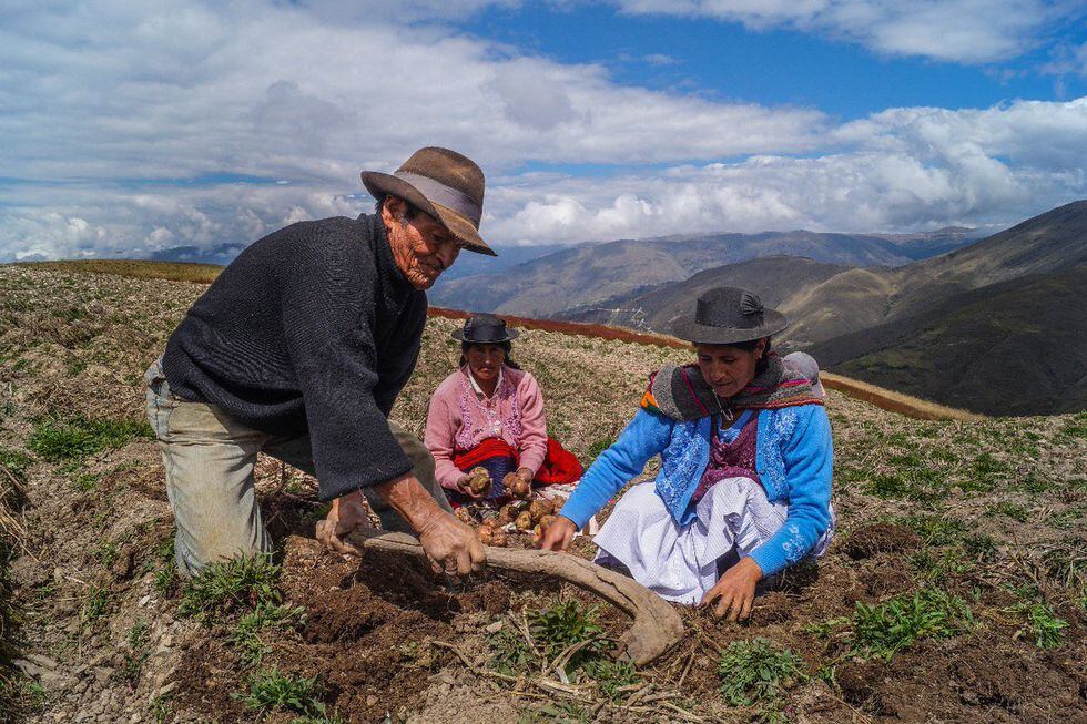 Bono Rural 760: Qué requisitos y quiénes serán los beneficiarios de esta subsidio del gobierno peruano