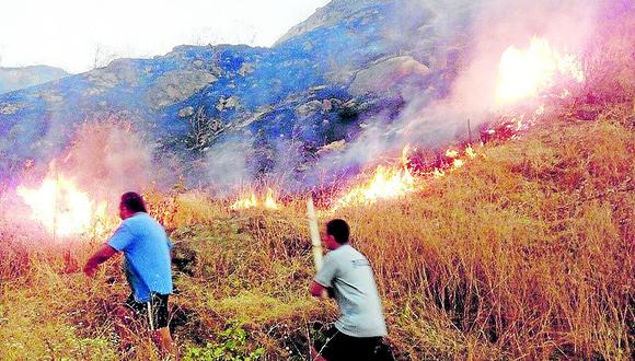 Máncora: Un incendio forestal pone en peligro a las familias de un barrio