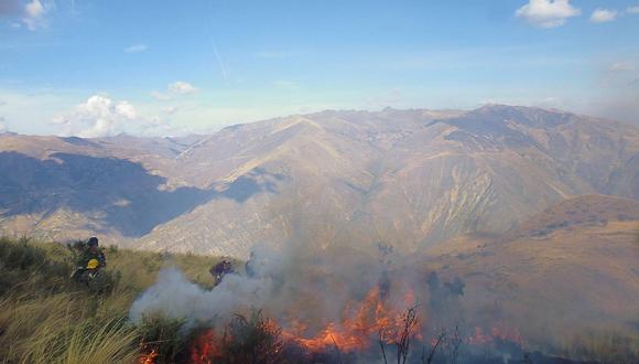 Huancavelica:  Incendio forestal afecta 500 plantaciones de pinos (FOTOS)