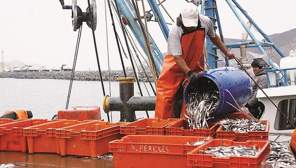 Chimbote: Hoy inicia la primera temporada de pesca de anchoveta en el centro-norte