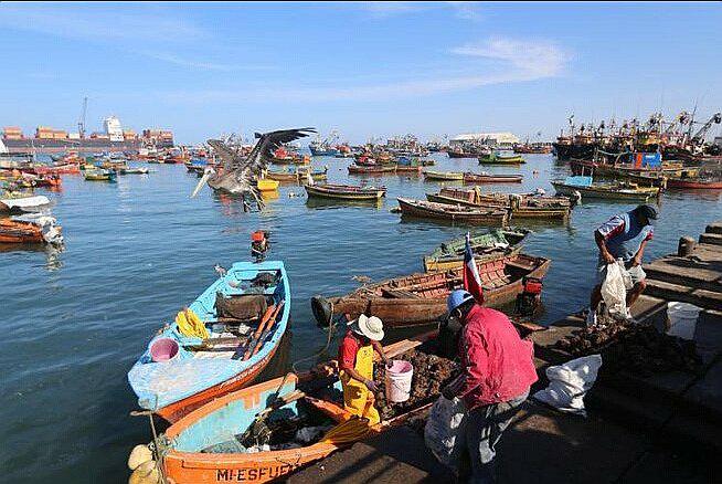 Pescadores retoman paro indefinido el 27 de abril