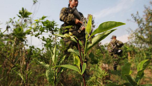Bloqueo a 'narcoavionetas' derribó precio de la coca en Perú 