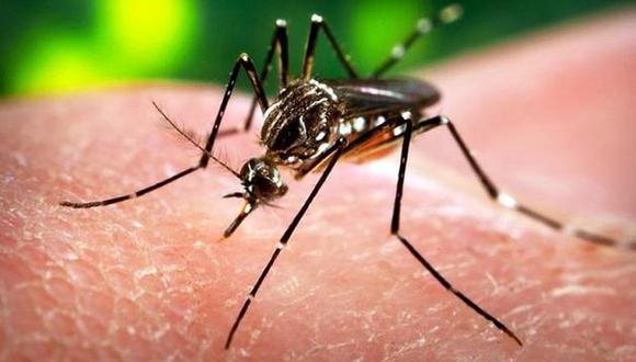 ​Zika: Minsa confirma tercer caso del virus en el Perú