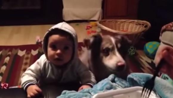 Video: Le enseñan a bebé a decir mamá, pero su perro aprendió