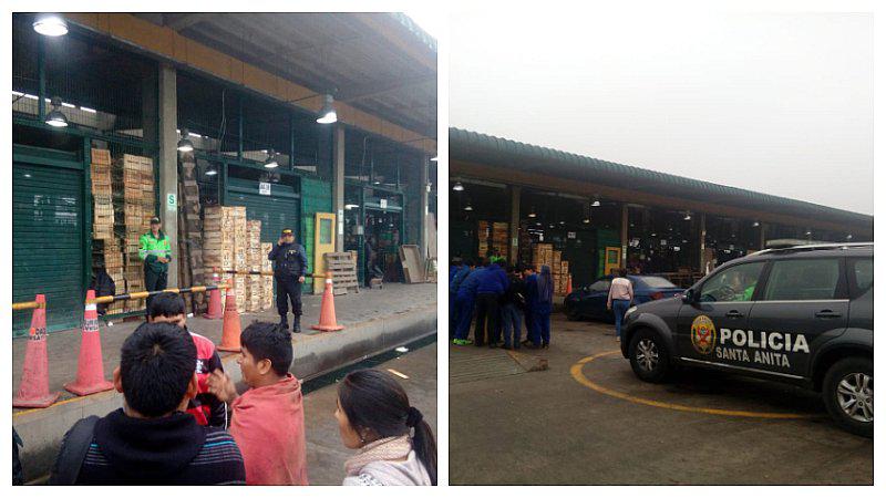 Incautan casi 424 kilos de marihuana en mercado mayorista de Santa Anita (FOTOS Y VIDEO)