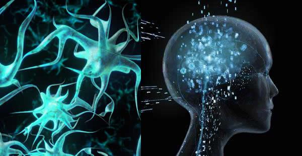 Experto inteligencia artificial advierte: ​"No estamos lejos de armas autómatas"