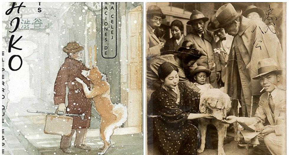 Hachiko La verdadera historia del perro que esperaba CULTURA CORREO