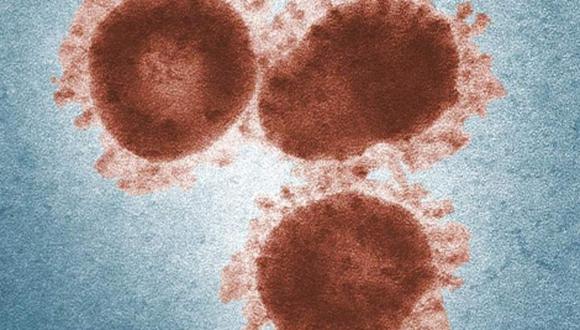 Peligroso Coronavirus llegó a Europa