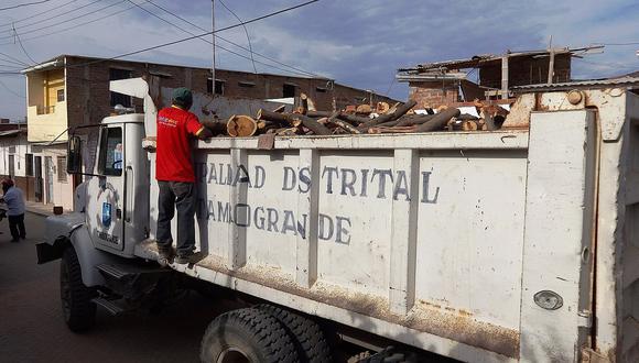 Piura: Decomisan 700 unidades de leña taladas ilegalmente