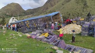 Ayacucho: Tráiler se despista y cientos de pollos mueren aplastados
