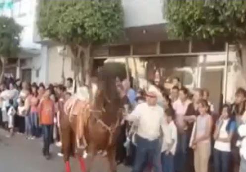 Video: Caballo baila el Gangnam Style y es sensación en Youtube