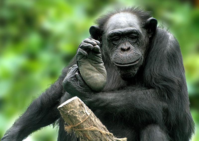 Carla celebrará sus 40 años en el Parque de las Leyendas  