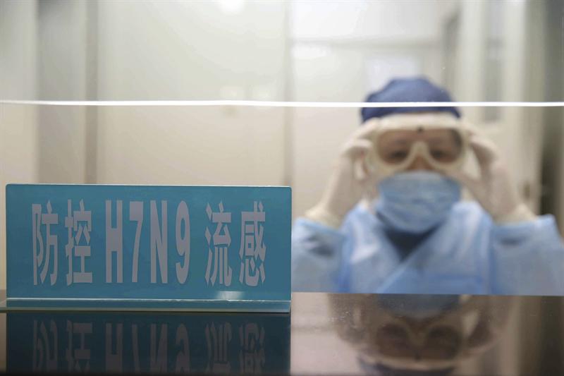 China: Aumentan a 17 los muertos por la gripe aviar
