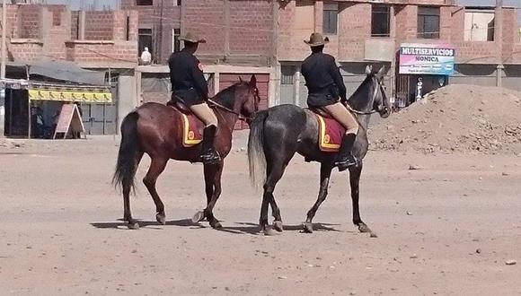 TACNA: Policía desde hoy patrulla calles de distrito montado a caballo