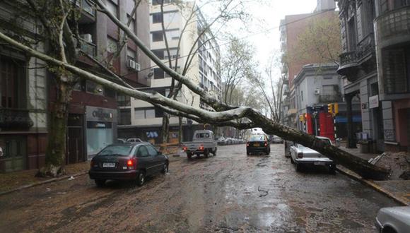Uruguay: Decretan alerta roja por fuertes vientos
