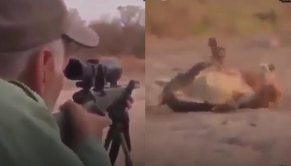 Cazador asesina de un disparo a un león que dormía sin molestar a nadie (VIDEO)