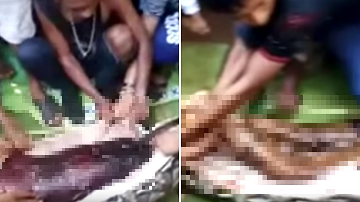 Indonesia: Mujer reportada como desaparecida fue engullida por pitón de 8 metros (FOTOS)