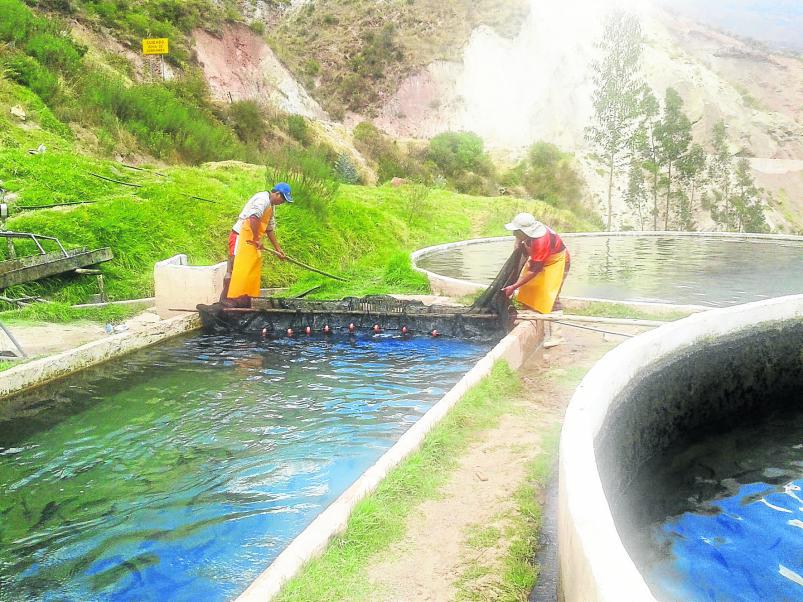 La maravilla de las piscigranjas como atractivo turístico 