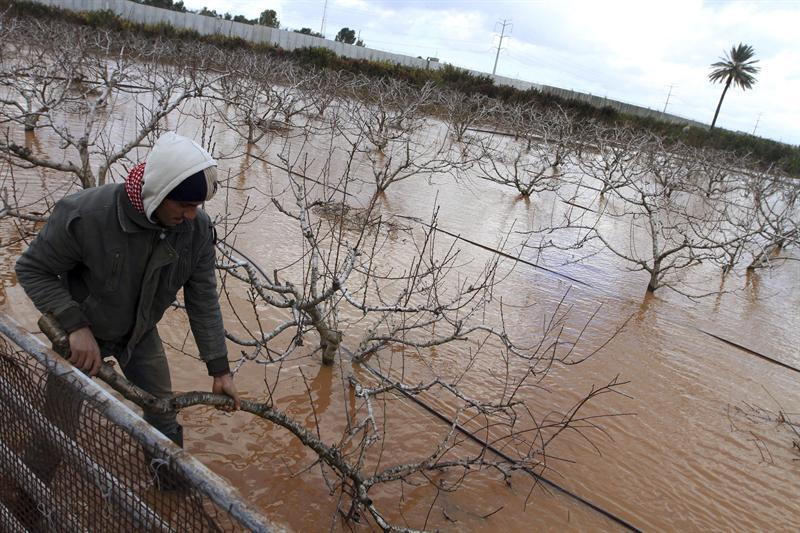 Temporal en Cisjordania deja dos palestinas muertas