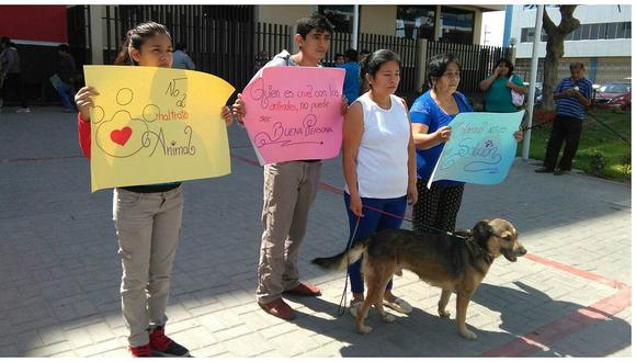 Chiclayo: Piden 2 años de cárcel para profesor por maltrato animal