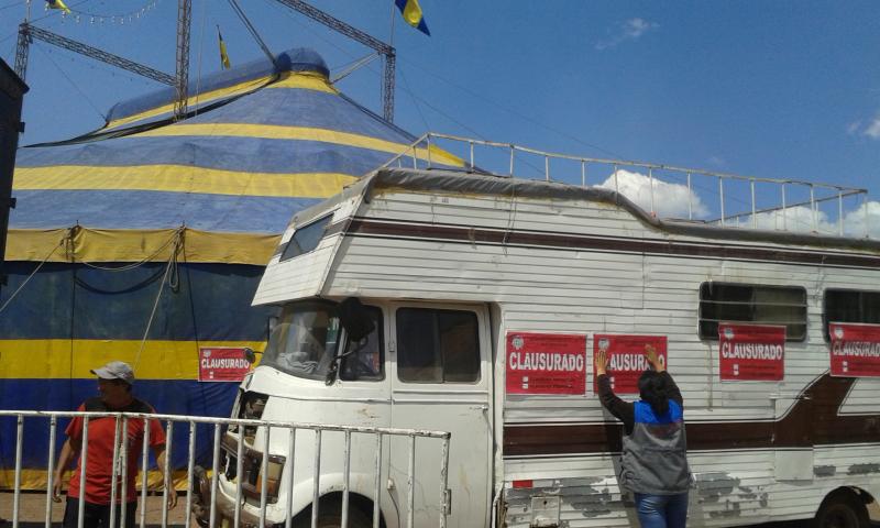 Clausuran circo dónde león atacó a profesora