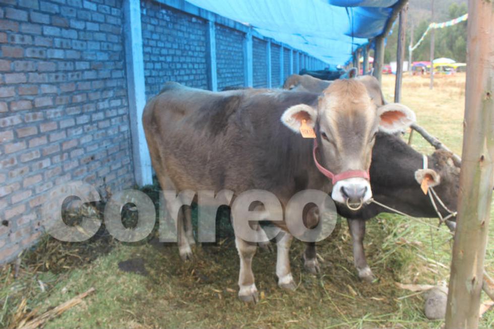 Artesanos jaujinos presentan el cucharón más grande del mundo (FOTOS)