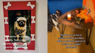Jóvenes crean altar por el Día de los Muertos para recordar a sus mascotas fallecidas