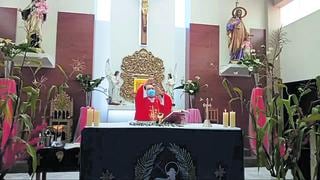 Cardenal Pedro Barreto pide por enfermos en misa virtual de Domingo de Ramos