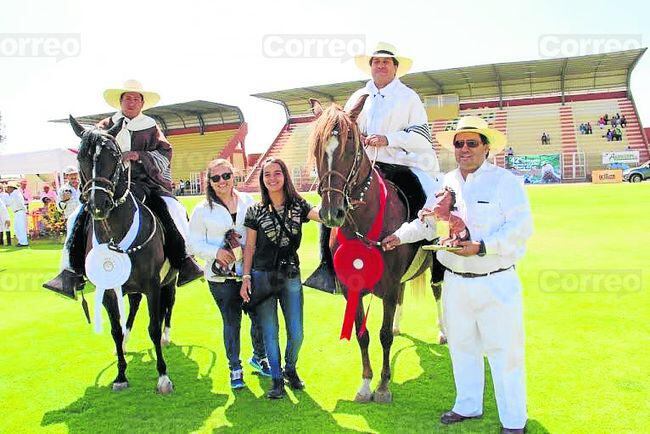 Pasión por la crianza del Caballo de Paso Peruano