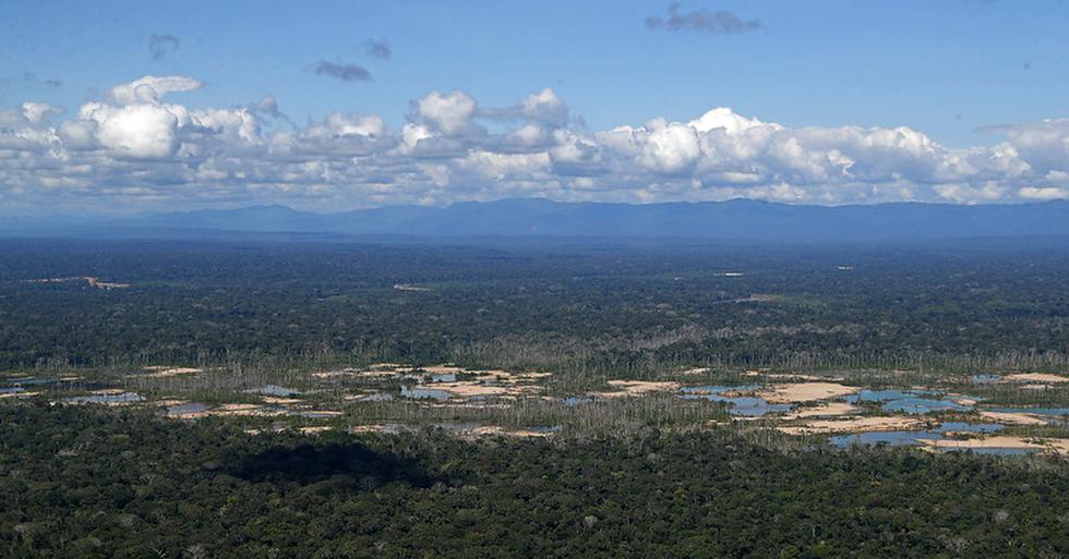 La restauración de 759 hectáreas afectadas por la minería ilegal al interior de la Reserva Nacional Tambopata, en Madre de Dios, es resultado de un trabajo conjunto entre el Ministerio del Ambiente (Minam) y otros sectores del Poder Ejecutivo, el gobierno regional y los municipios locales, además del apoyo de la cooperación internacional. (Foto: Minam)