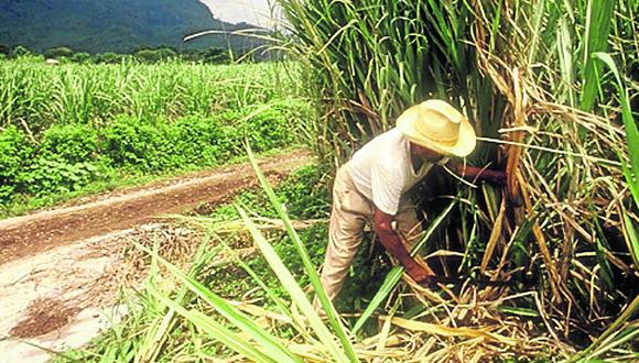 Lambayeque: Empresas azucareras paralizan sus labores hasta abril próximo