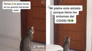 Gatito espera a fuera del cuarto de su dueño hasta que pueda vencer al coronavirus (VIDEO)