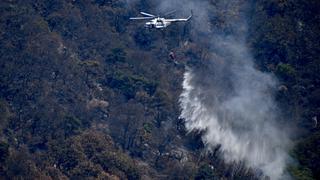 México: combaten dos incendios que consumen unas 169 hectáreas de bosque