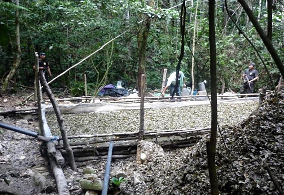 Policía destruyen un laboratorio de droga en Aucayacu
