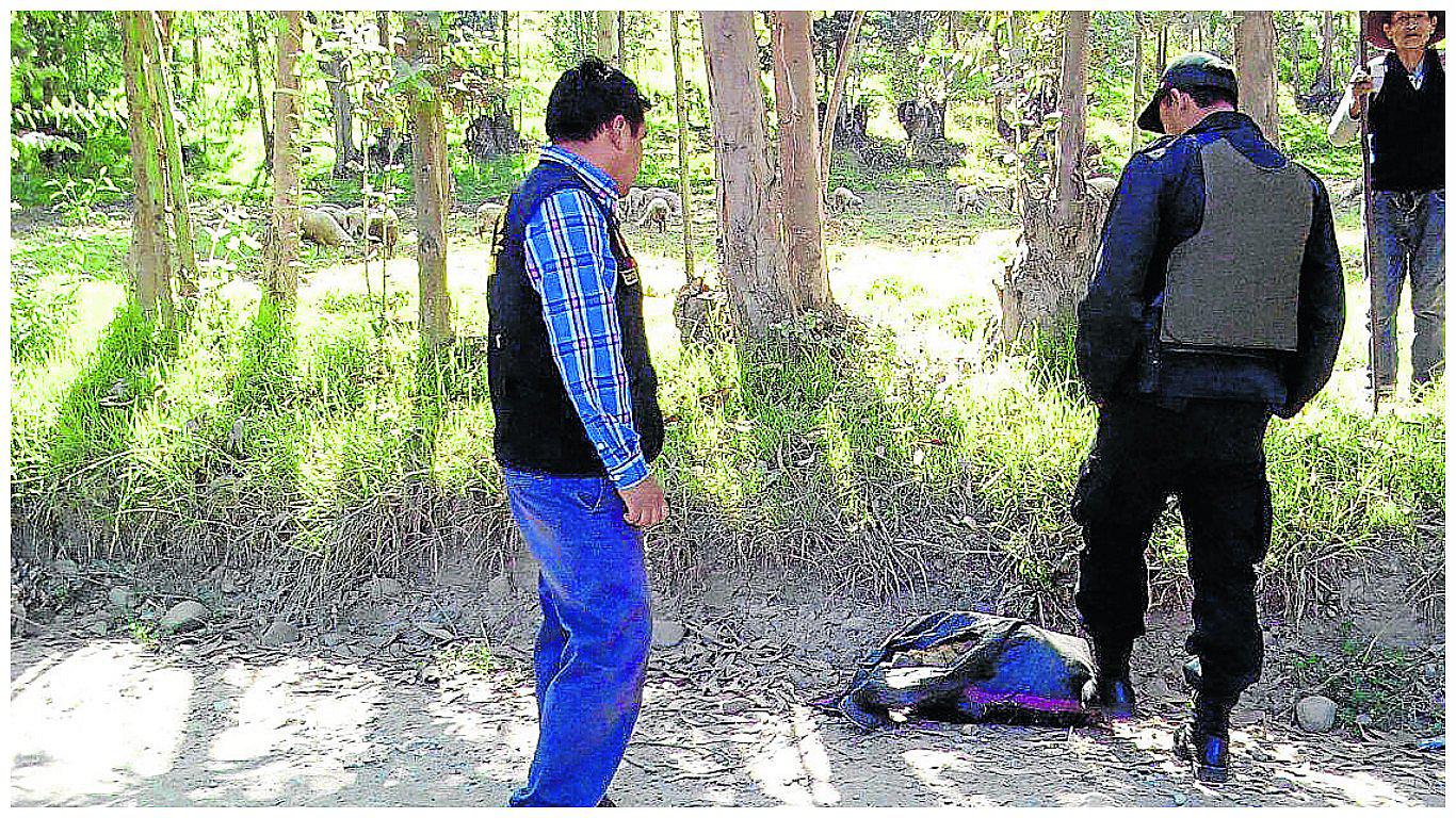 Perro muerto y encostalado moviliza a fiscal, forense y policías (VIDEO)