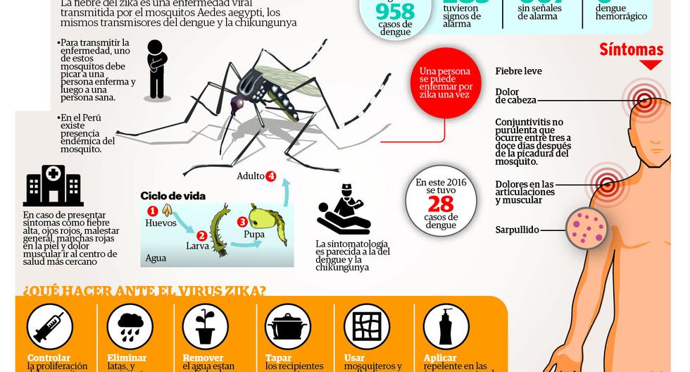 Temor por virus Zika y casos de dengue crece en la región Junín PERU