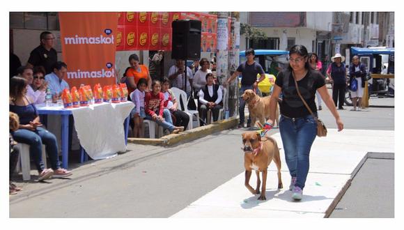 El Porvenir: Kiwi y Ganna fueron los ganadores del concurso canino de mascotas