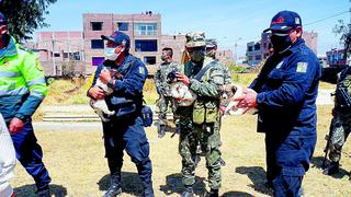 Soldados, policías y serenos  de Huancayo se movilizan para rescatan a tres cachorros (VIDEO)