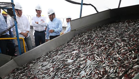 Economía peruana mejoró en noviembre con impulso de la pesca y construcción