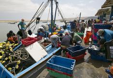 Produce destinará más de S/ 100 millones a infraestructuras pesqueras artesanales