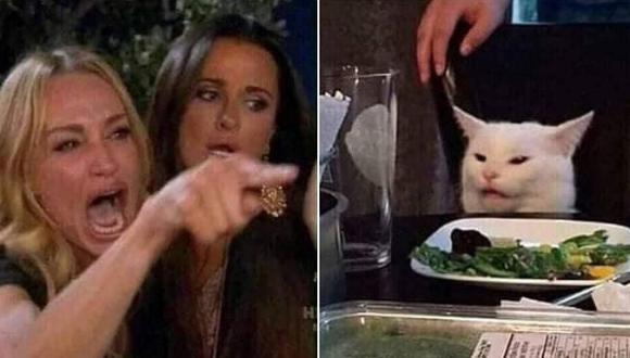 Profesor de derecho incluyó meme de 'gato' como pregunta bonus en examen universitario