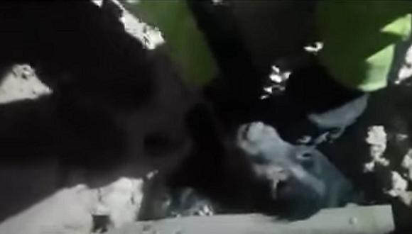​YouTube: Mira el rescate de un perro atrapado entre los escombros tras terremoto en Italia