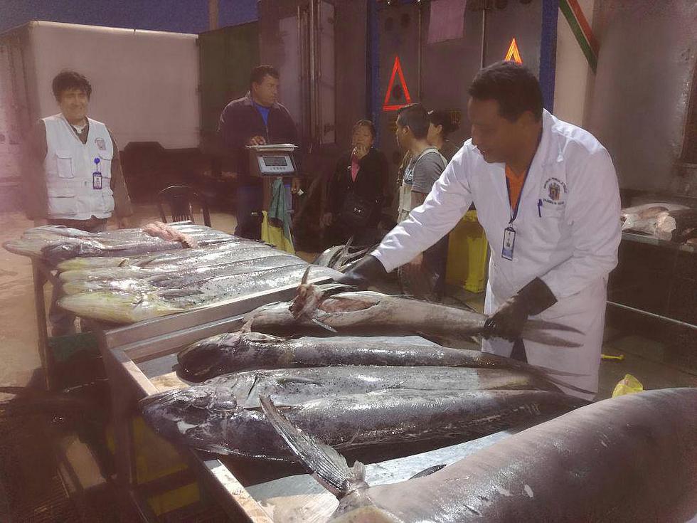 Trujillo: Retiran pescado en mal estado de terminal pesquero 