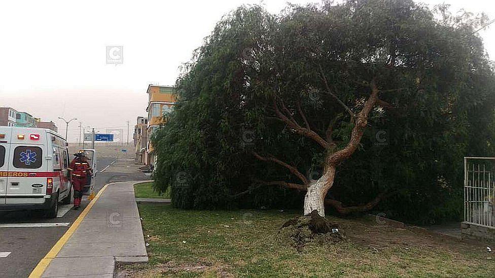 Recomiendan tomar medidas de protección ante incremento de vientos en la Costa